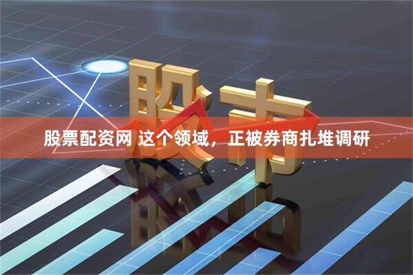 股票配资网 这个领域，正被券商扎堆调研