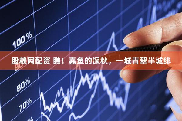 股粮网配资 瞧!嘉鱼的深秋,一城青翠半城绯