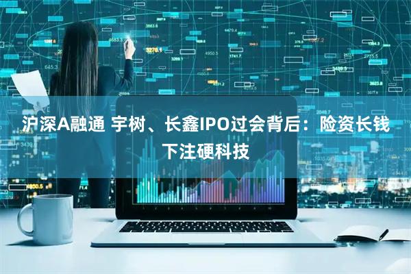 沪深A融通 宇树、长鑫IPO过会背后：险资长钱下注硬科技